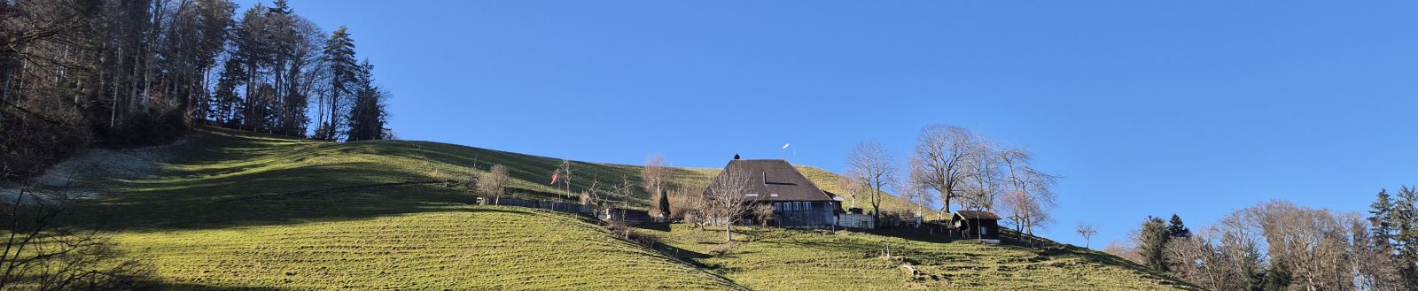 BisehogerStartplatzSpätwinter