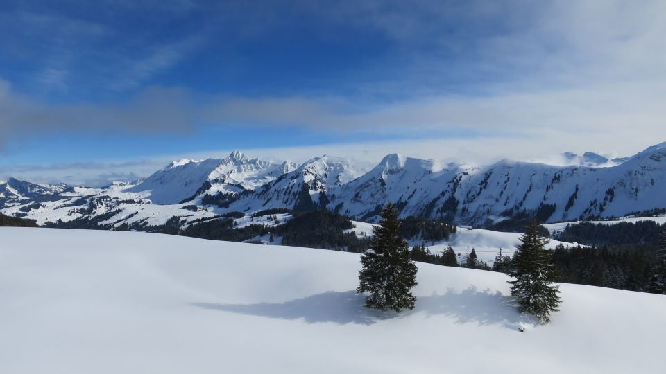 Schneeschuhtour Hohganthütte 2019