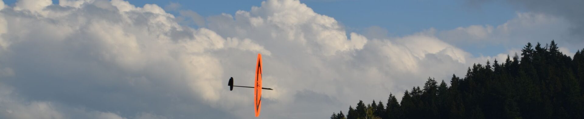 Bisehoger_ModellseglerAnflug_Sommer