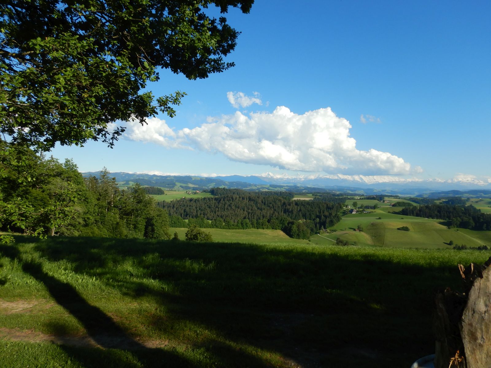 Bräteln bei Bilderbuchwetter