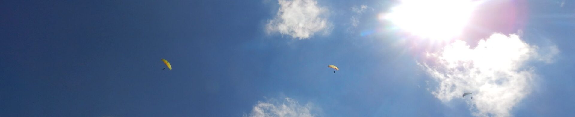 Bisehoger_Fliegen_Sommer